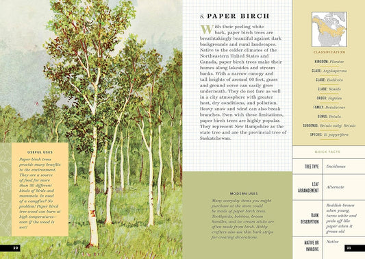 The Little Book of North American Trees