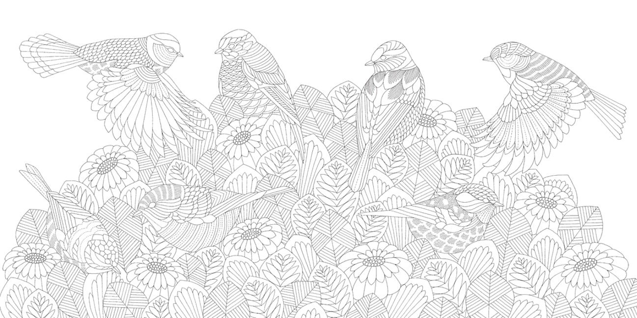 Millie Marotta's Beautiful Birds and Treetop Treasures Coloring Book: Mini Edition