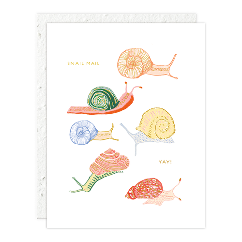 Hi Snails Card