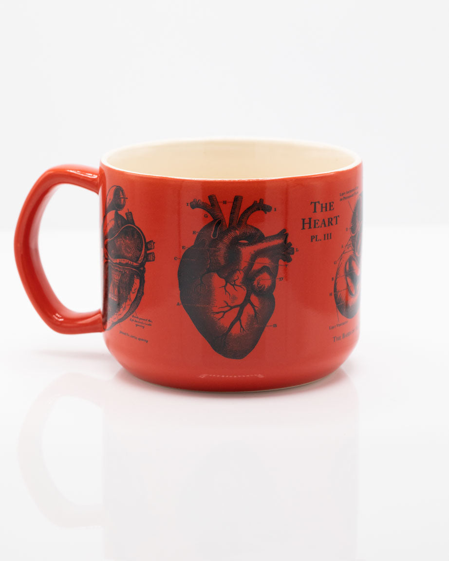 Heart Anatomy Mug