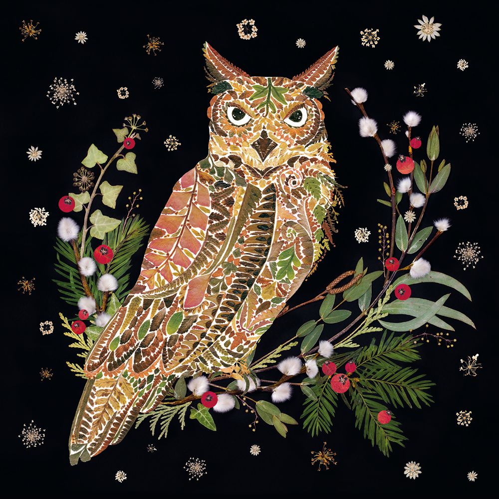Great Horned Owl Holiday Boxed Cards (Set of 8)