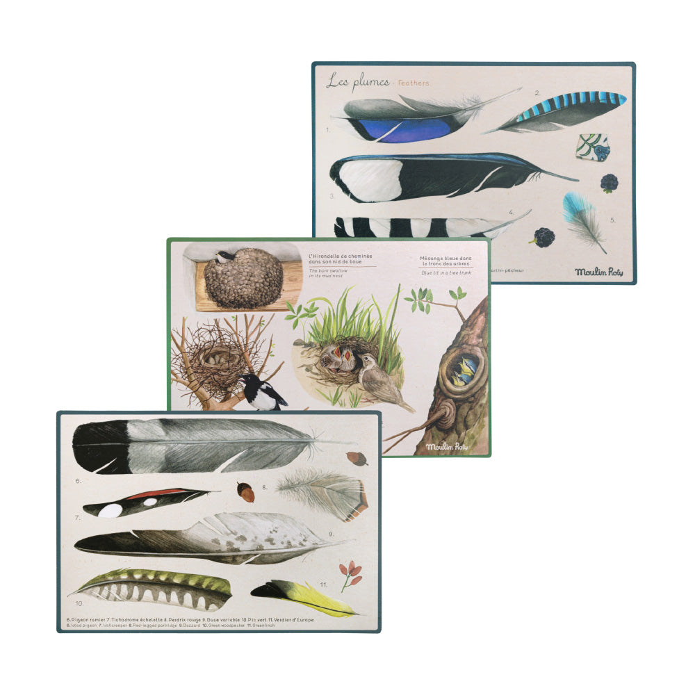 Le Botaniste – Discovery of Birds Box