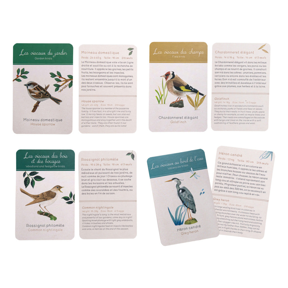 Le Botaniste – Discovery of Birds Box