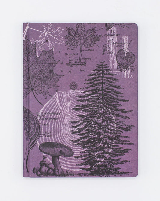 Forest at Dusk Hardcover Notebook  - Lined/Grid