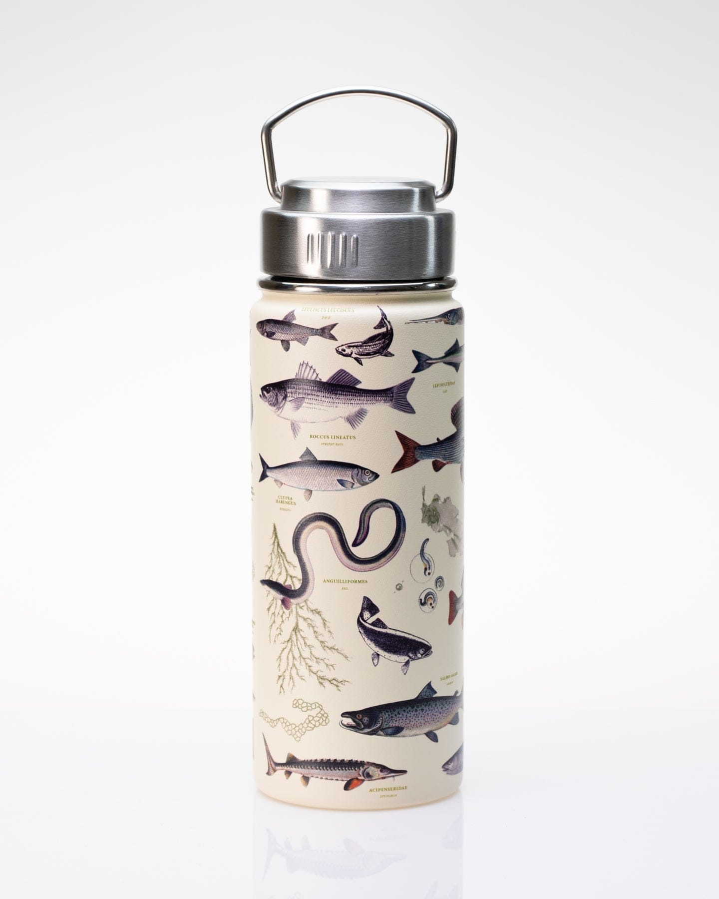 Freshwater Fish Steel Tumbler