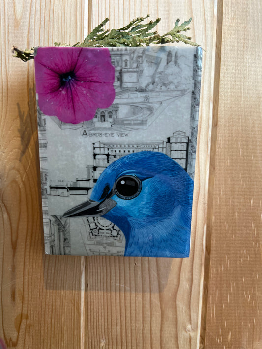 Jackie Besteman Bird Blocks