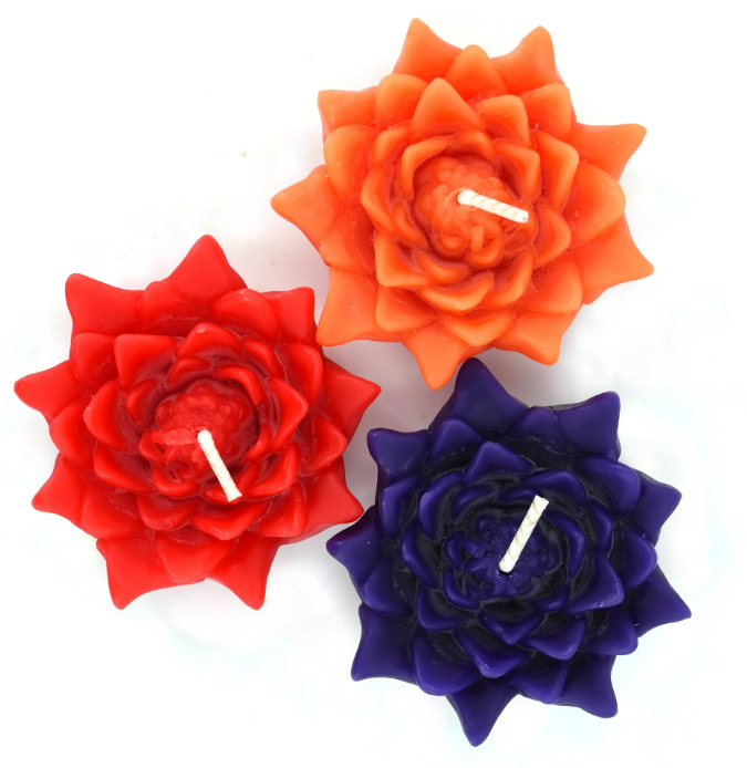 Beeswax Floating Lotus Candle Boxed Set