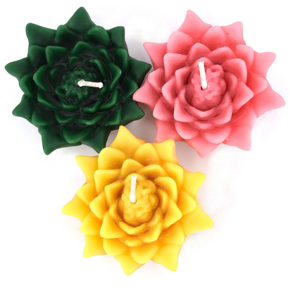 Beeswax Floating Lotus Candle Boxed Set