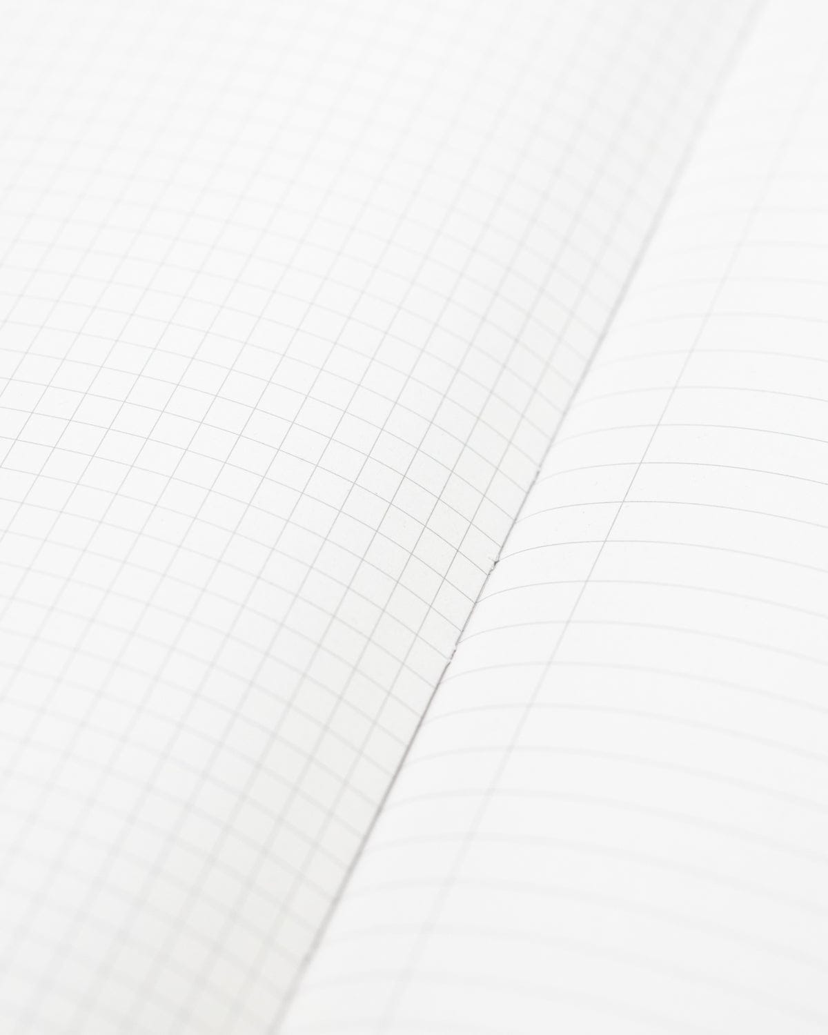 Octopus & Squid Hardcover Notebook  - Lined/Grid