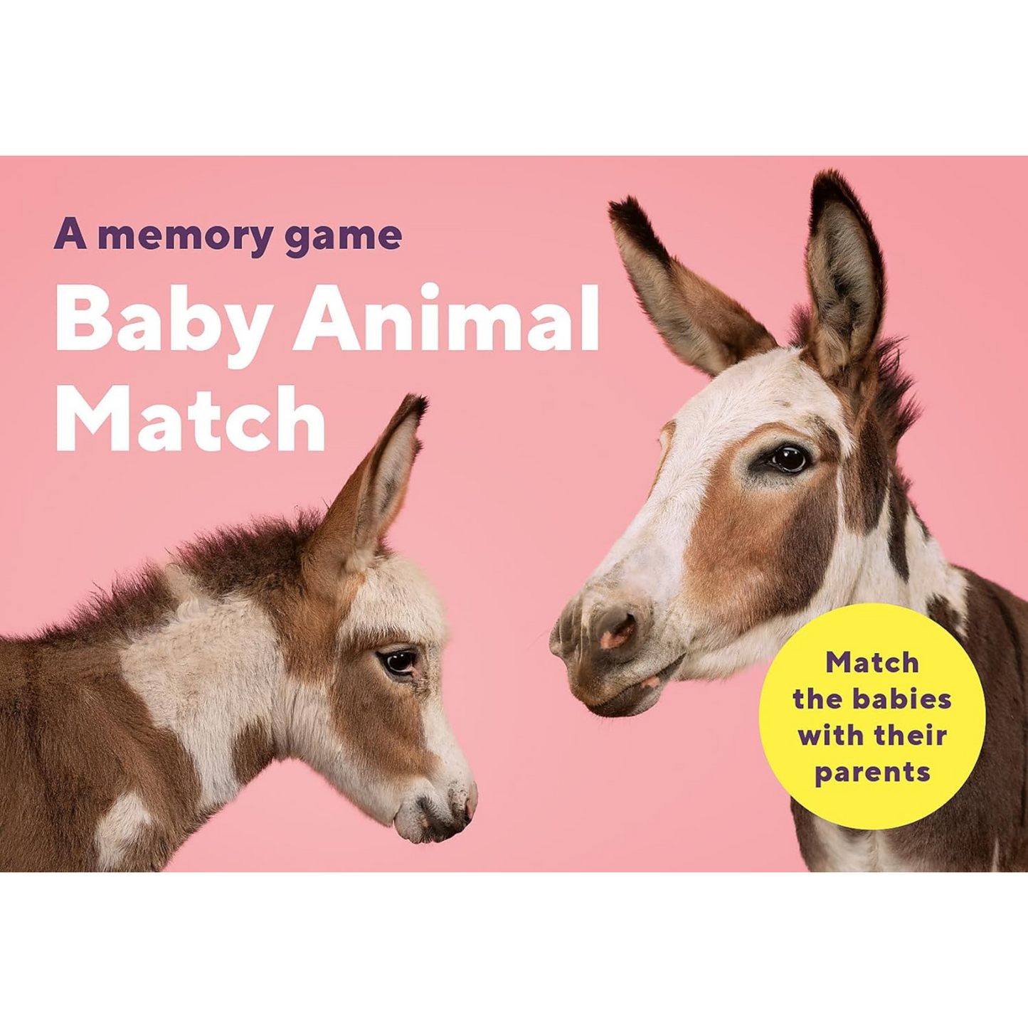 Baby Animal Match Memory Game