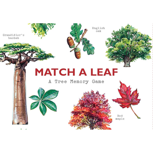 Match a Leaf Matching Game