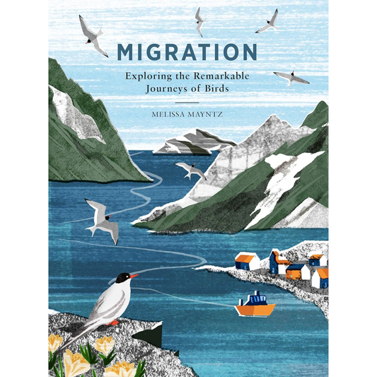 Migration: Exploring the Remarkable Journeys of Birds