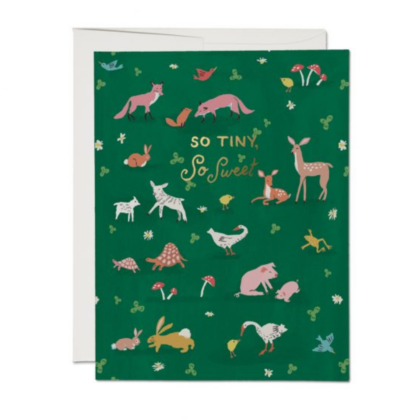 Tiny Animals Card