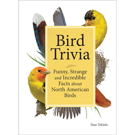 Bird Trivia