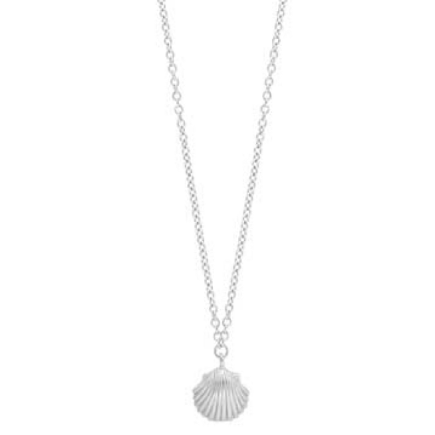 Small Shell Necklace