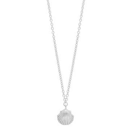 Small Shell Necklace