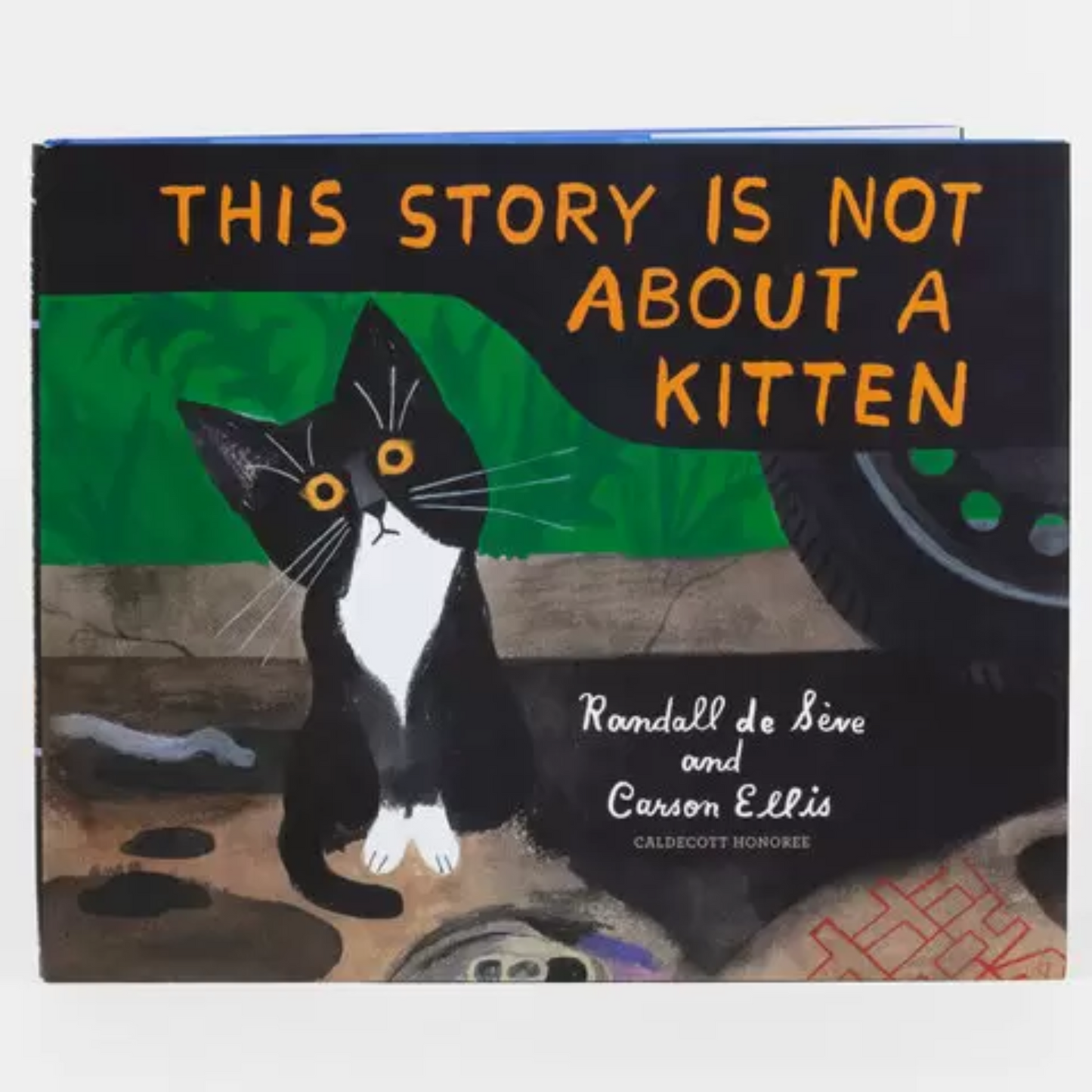 This Story Is Not About a Kitten