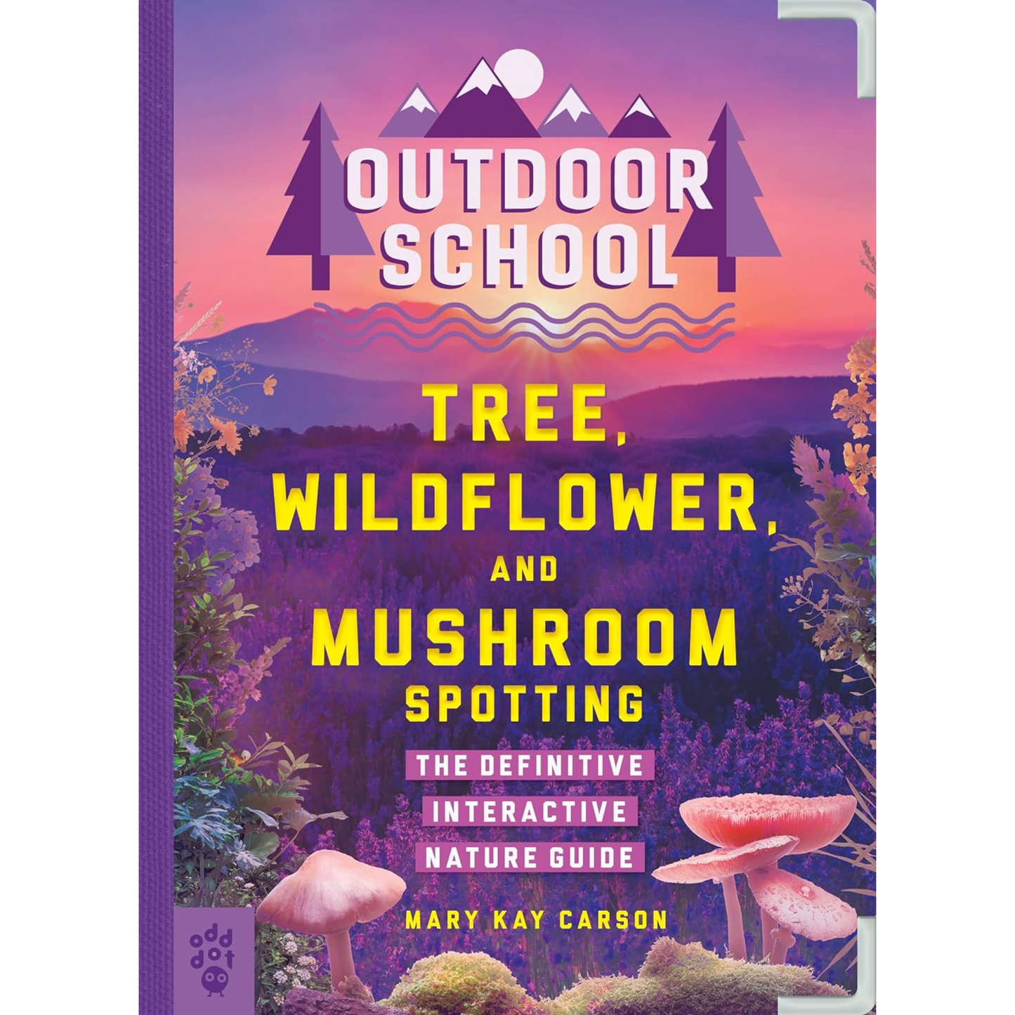 Outdoor School: Tree, Wildflower, and Mushroom Spotting