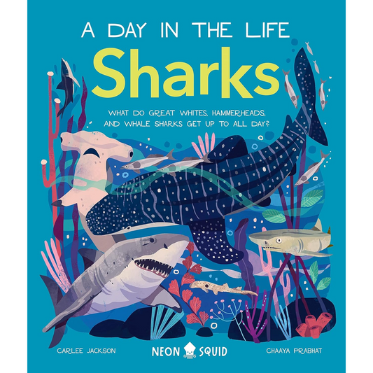 Day in the Life Sharks by Carlee Jackson