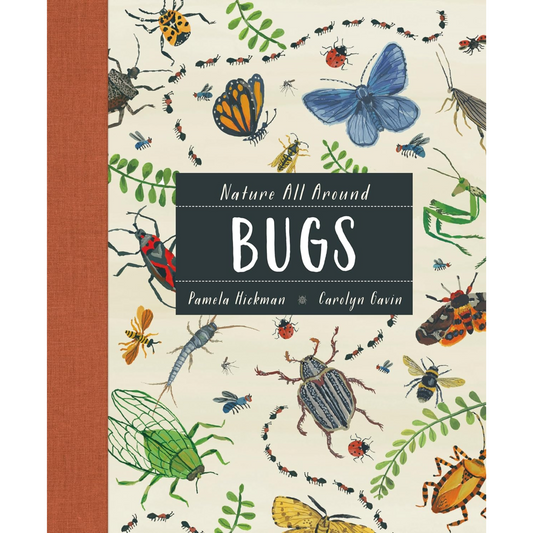 Nature All Around: Bugs