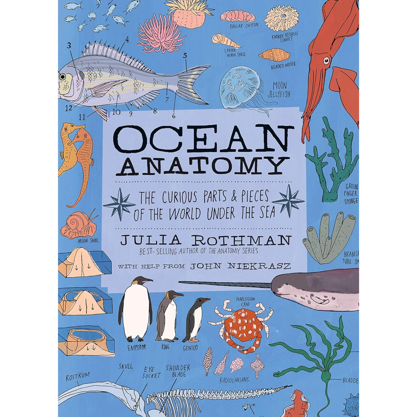 Ocean Anatomy: The Curious Parts & Pieces of the World under the Sea