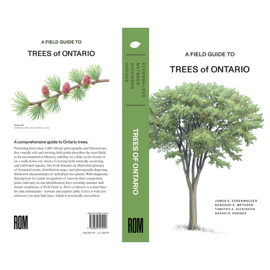 Field Guide To Trees of Ontario
