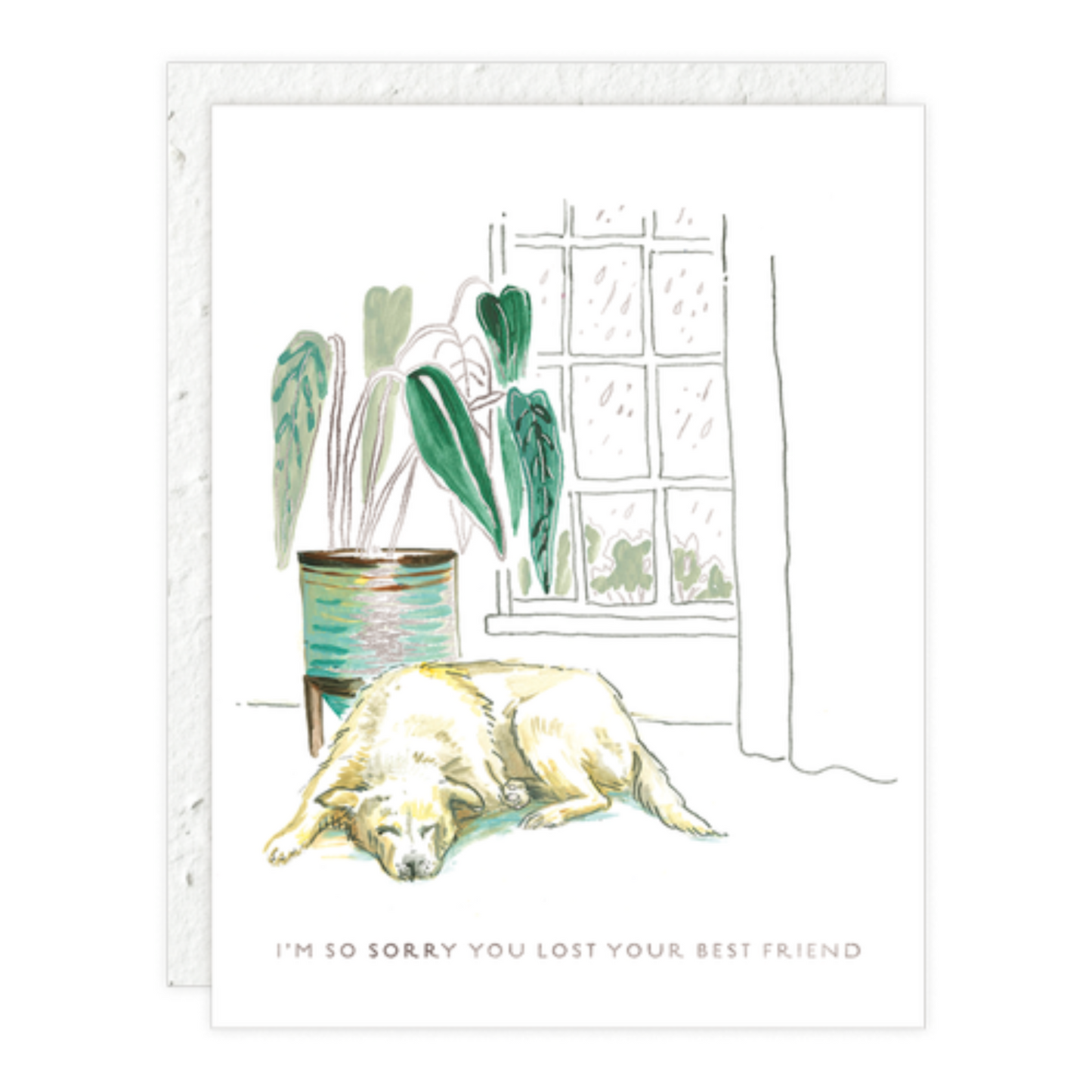 Best Friend Pet Sympathy Card