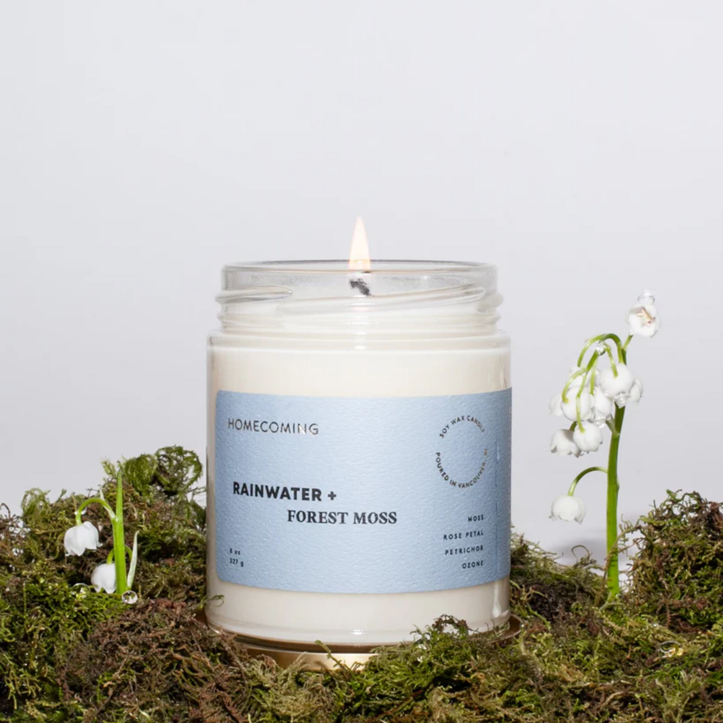 Rainwater + Forest Moss Candle