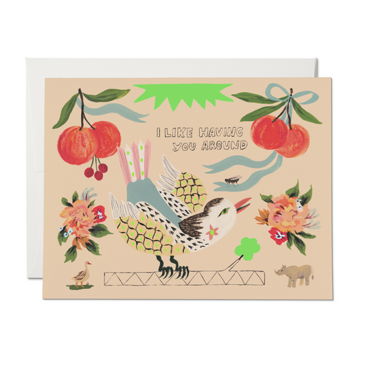 Bird and Fly Card