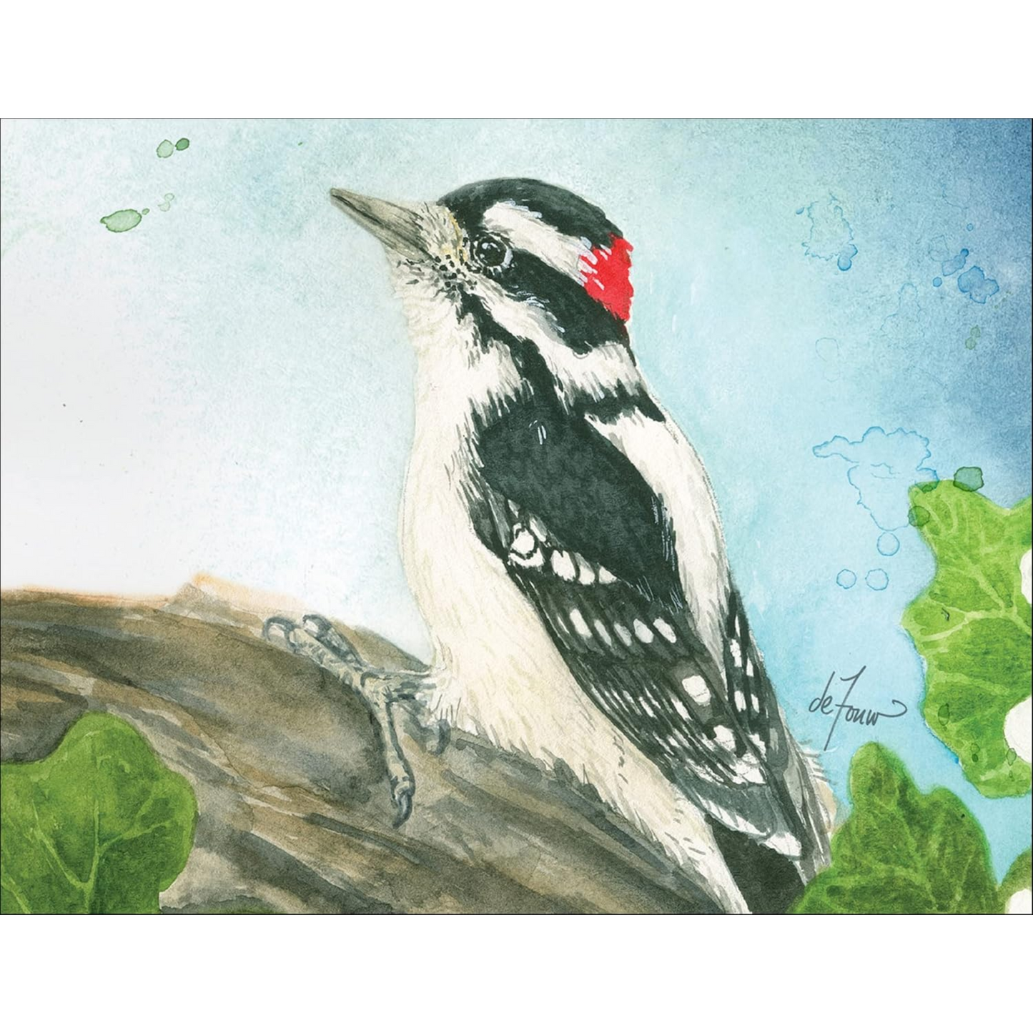 Backyard Birds Boxed Notecard Assortment
