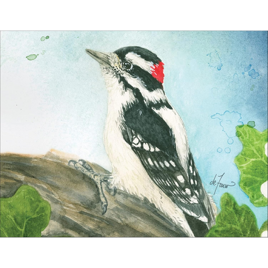 Backyard Birds Boxed Notecard Assortment