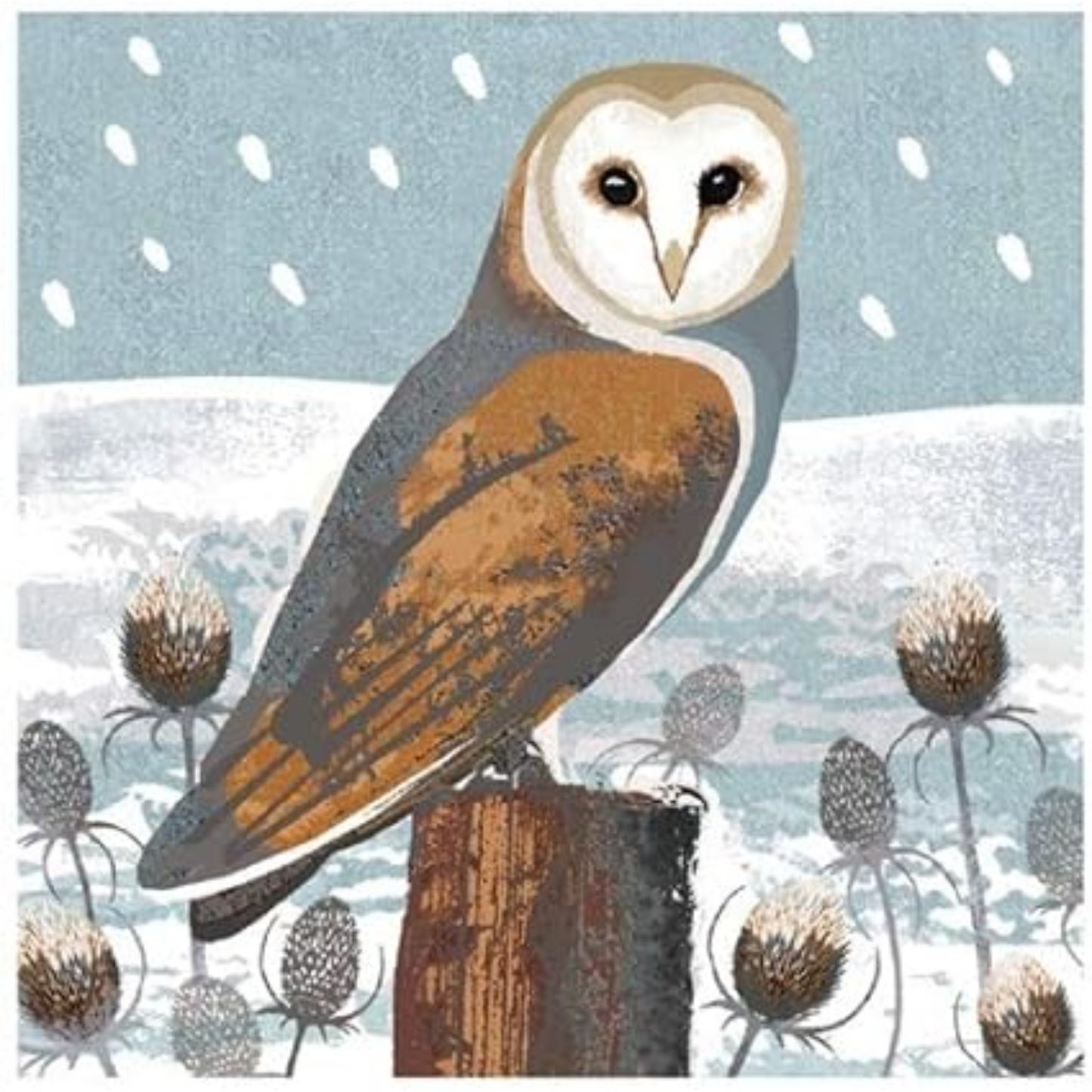 Owl & Teasels Boxed Holiday Cards