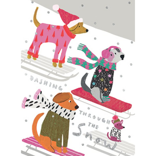 Dogs Sledding Boxed Holiday Cards