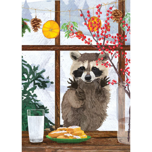 Raccoon in Window Boxed Holiday Cards