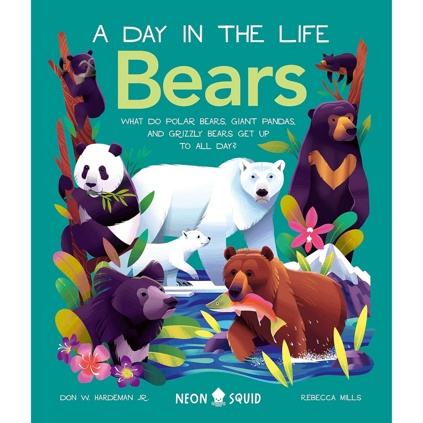 Day in the Life: Bears