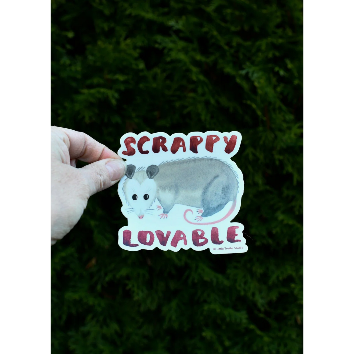 Scrappy, Lovable Possum Sticker