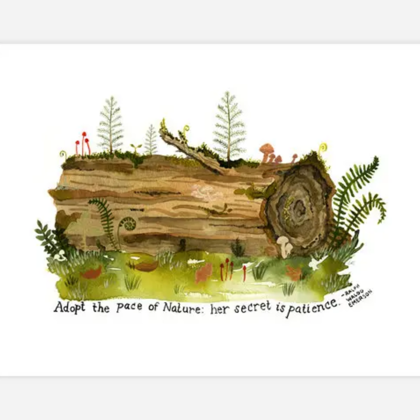 Nurse Log Archival Art Print 8.5x11