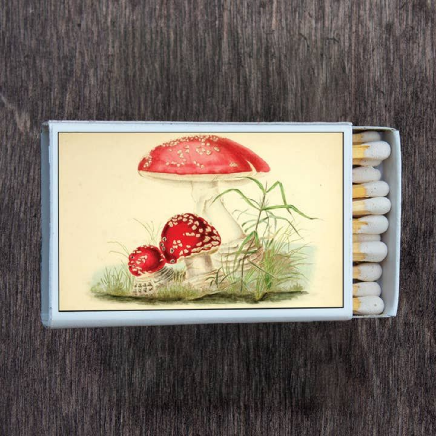 Mushroom Toadstool Matches