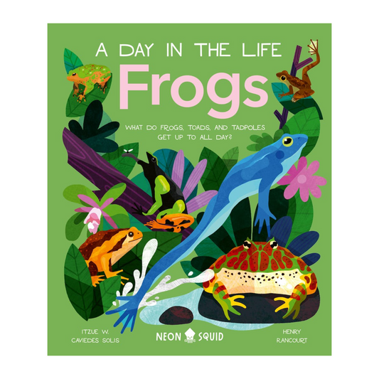 Day in the Life Frogs by Henry Rancourt