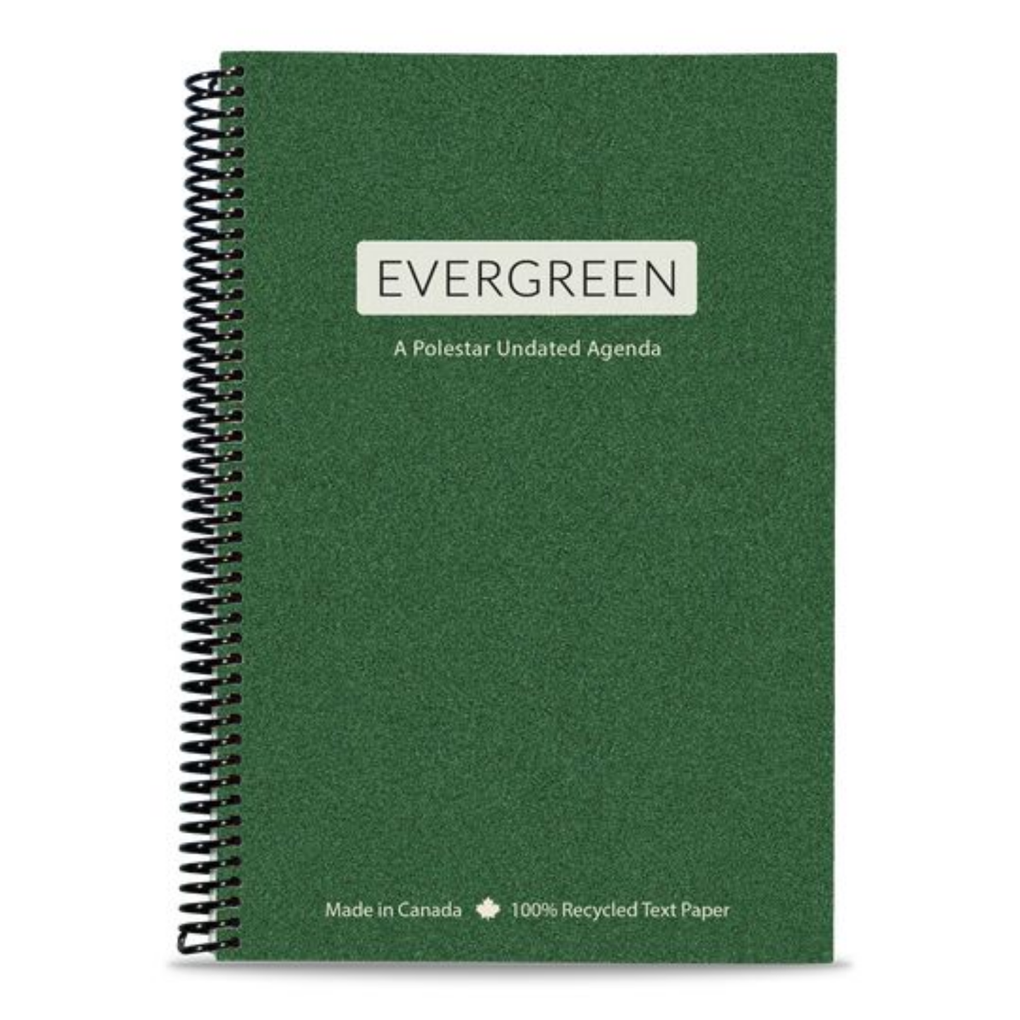 Evergreen Undated Agenda