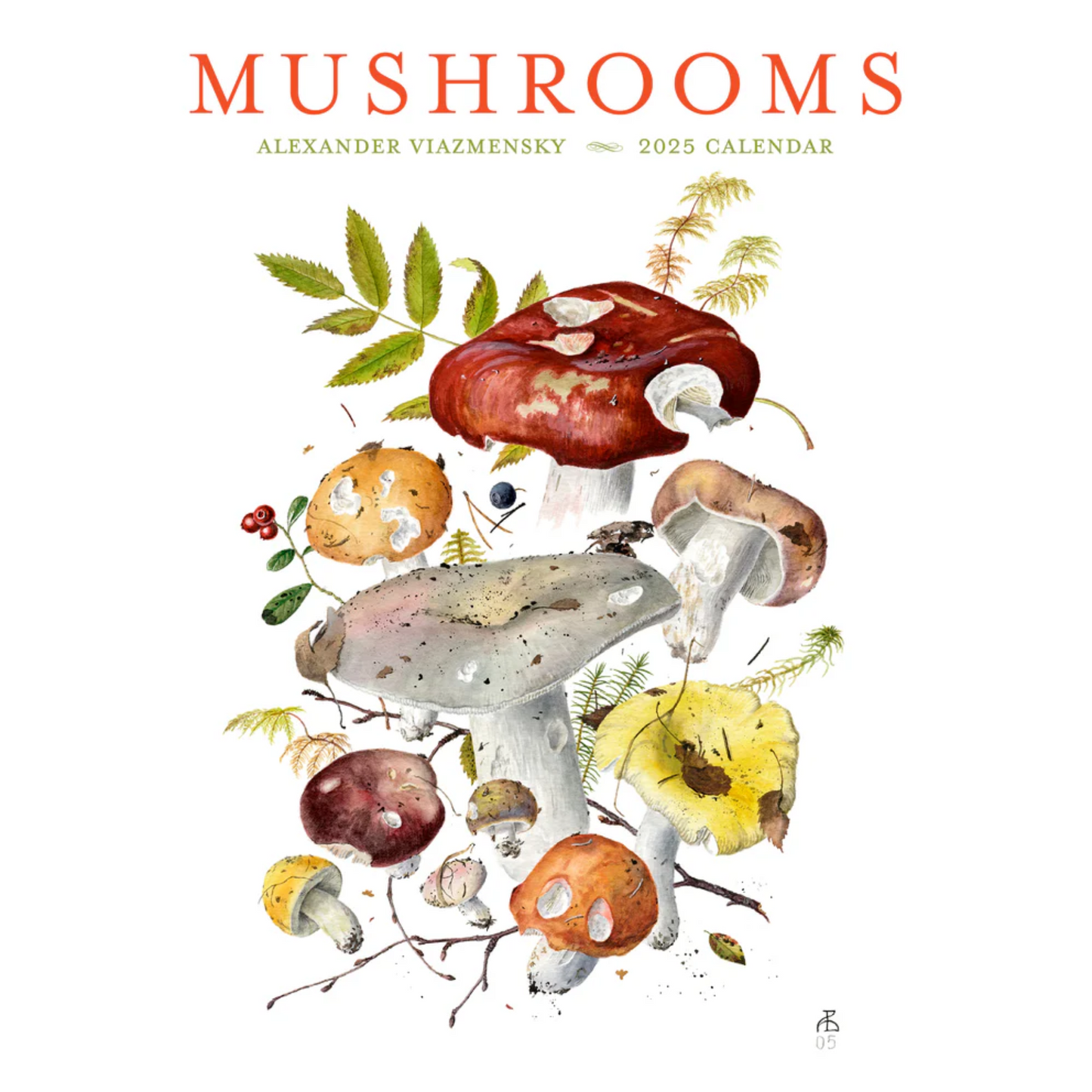 Mushrooms: Alexander Viazmensky 2025 Wall Calendar