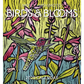 Molly Hashimoto: Birds & Blooms 2025 Mini Calendar