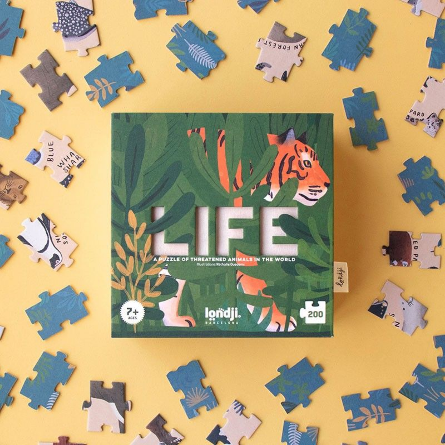 Life Puzzle