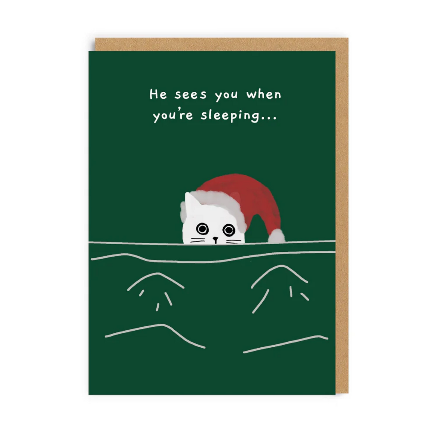 Relax, Sleeping, Made You This Christmas Card Set (9 pack)