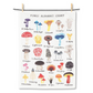 Lily Kao Alphabet Tea Towel