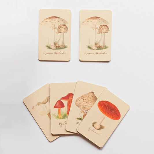 Fungi Matching Game