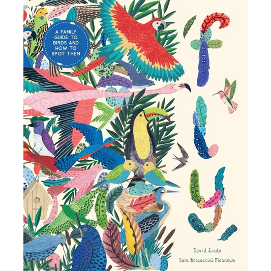 Fly: A Family Guide to Birds and How to Spot Them