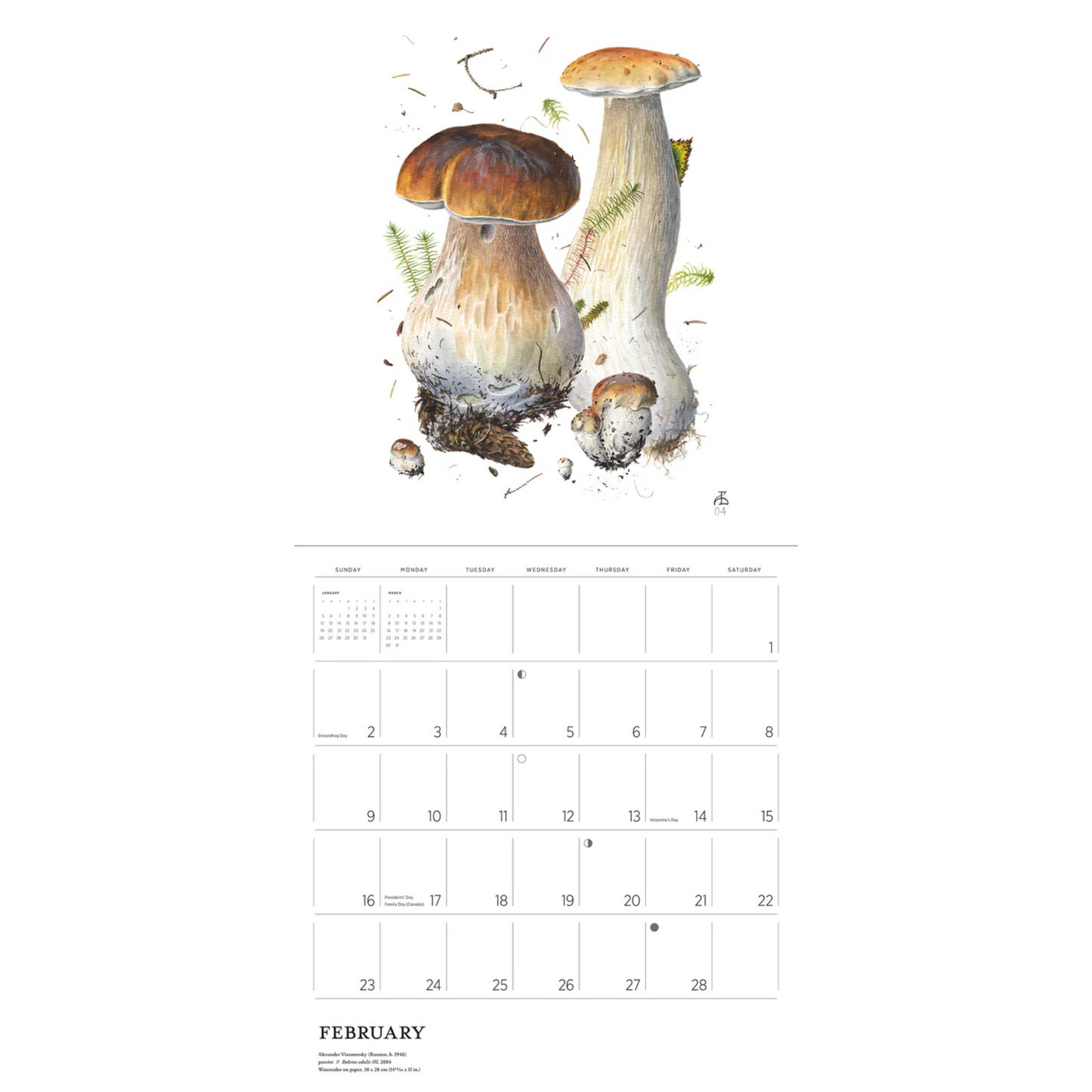 Mushrooms: Alexander Viazmensky 2025 Wall Calendar