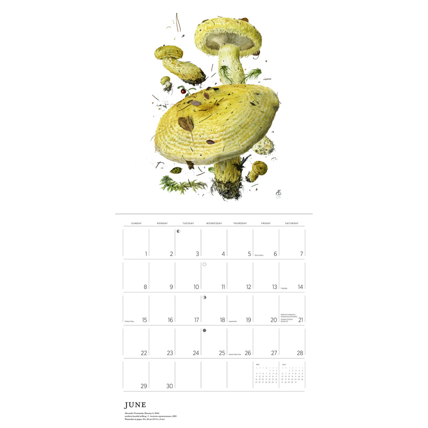 Mushrooms: Alexander Viazmensky 2025 Wall Calendar