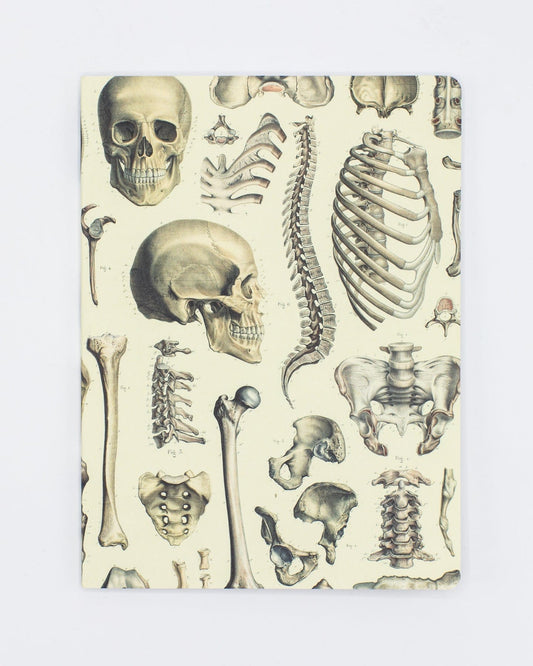 Skeleton Plate Softcover Notebook - Lined